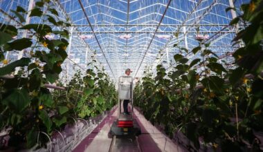 Canada could add billions to its economy by processing more food. Here's what it's trying