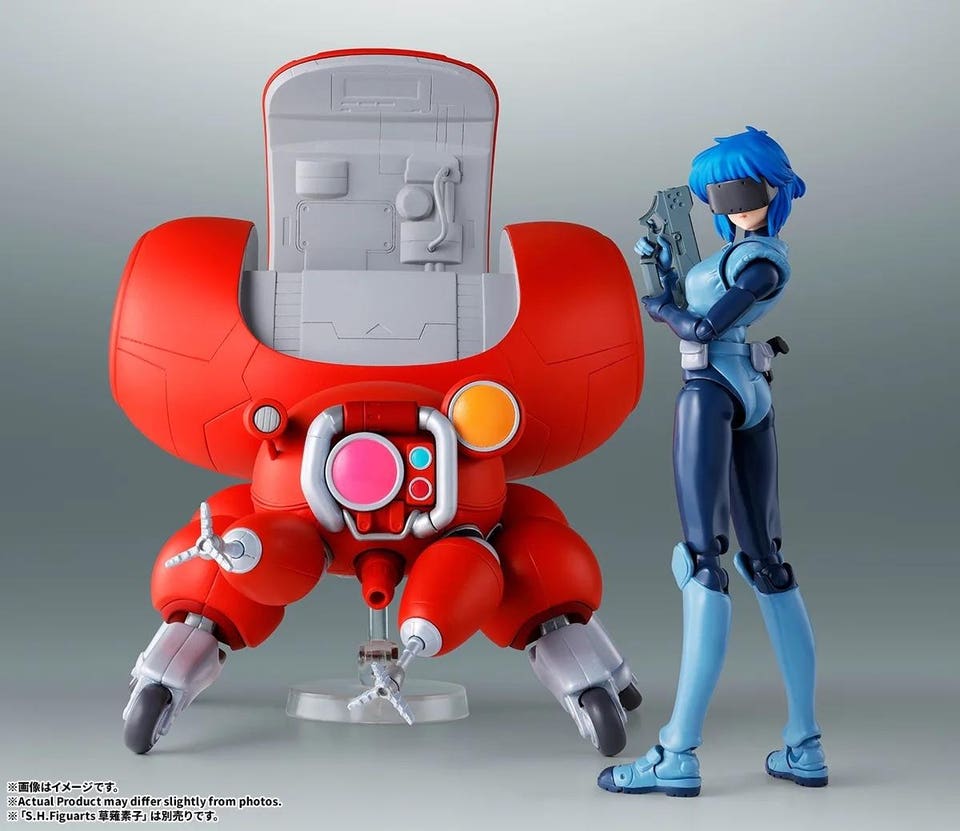 The Ghost in the Shell