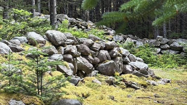 The mystery of the 'Great Wall' of Hant’s Harbour