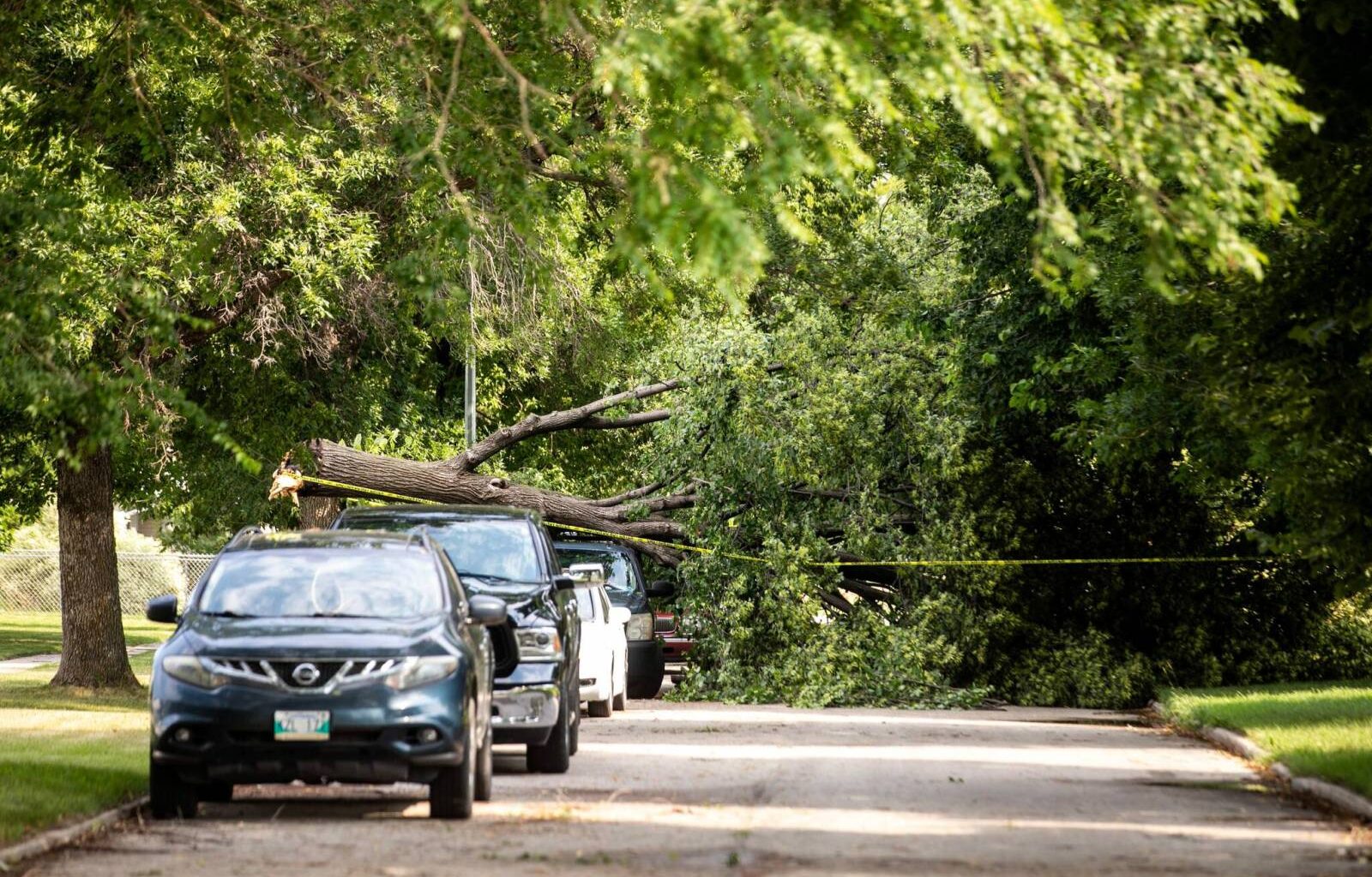 Manitoba Hydro expects storm-related power outages to be repaired Saturday – Winnipeg Free Press