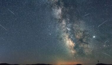 Perseid meteor shower could put on one of its best shows in years. Here’s why - ctvnews.ca