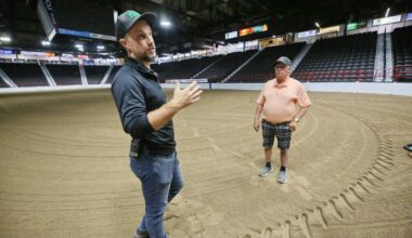Brandon laying groundwork for Arabian championship – Winnipeg Free Press