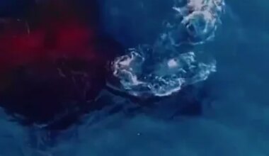 Humpback whale gives birth in stunning drone video #shorts - YouTube