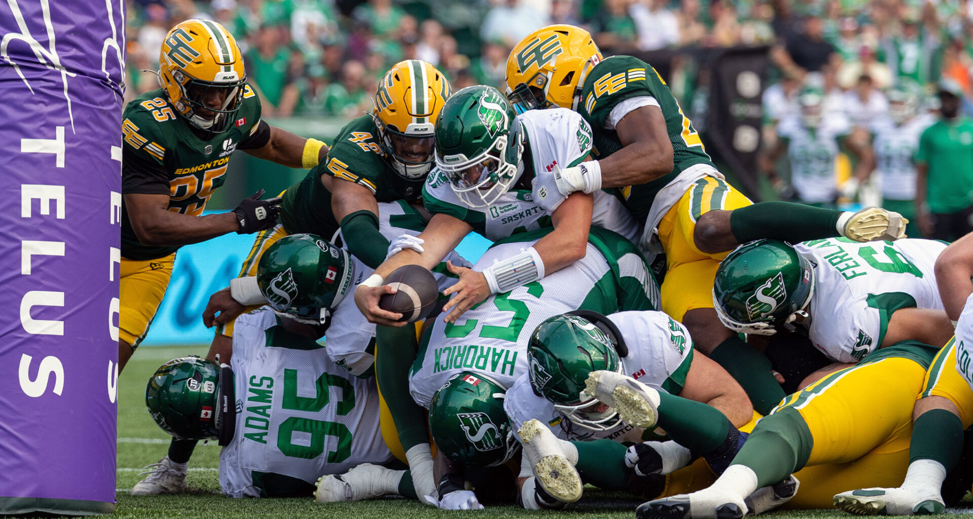 CFL News Hub