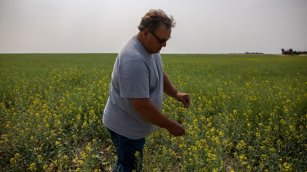 'Steadfast champion': Sask. senator Todd Lewis dies at 65