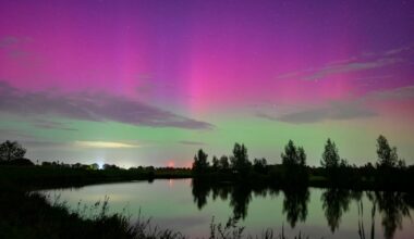 Northern Lights Forecast: 10 States May See Aurora Sunday Night