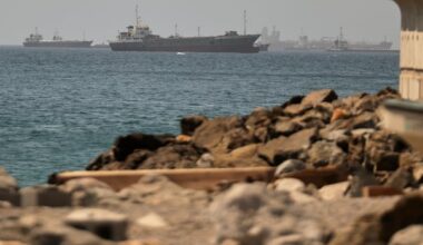 Ships stranded in Gulf could pose global invasive-species threat, study says