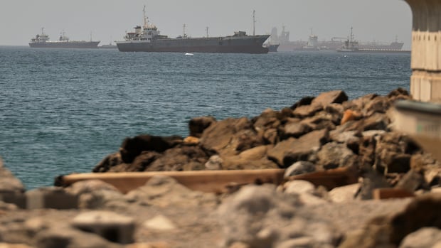 Ships stranded in Gulf could pose global invasive-species threat, study says