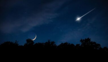 See The First Perseids As Solar Eclipse Nears: The Night Sky This Week