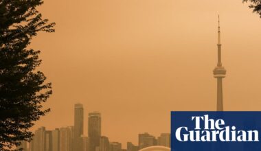 Past fires suggest effects of Europe and North America wildfires may linger for years | Wildfires