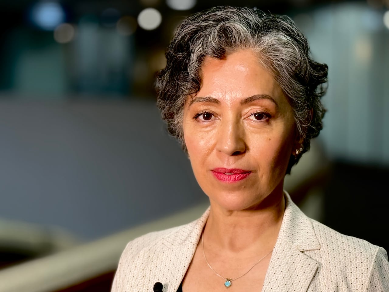 Coun. Alejandra Bravo's motion calling on staff to look into limiting the number of street parking permits that are issued to multiplex dwellers passed at Toronto city council's meeting July 30. She says her ward has seen more multiplex construction
