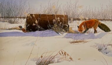 'I feel like I am returning home': Leonard Paul steps back from 50-year painting career