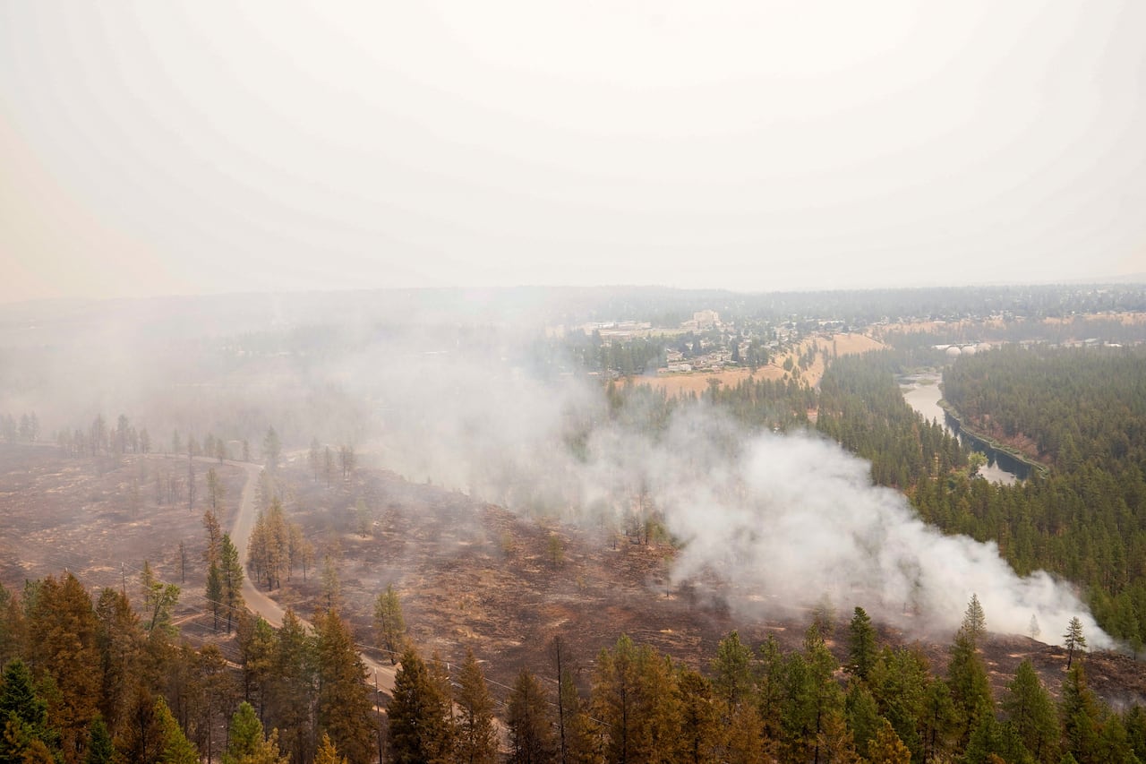 An aerial view shows smoke billowing from a forest during a wildfire.