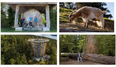 Search for B.C.'s best roadside attraction: Round 1, Vancouver Island
