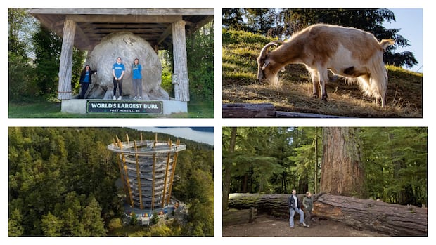 Search for B.C.'s best roadside attraction: Round 1, Vancouver Island