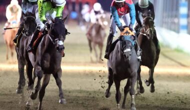 Western Warrior finishes strong – Winnipeg Free Press