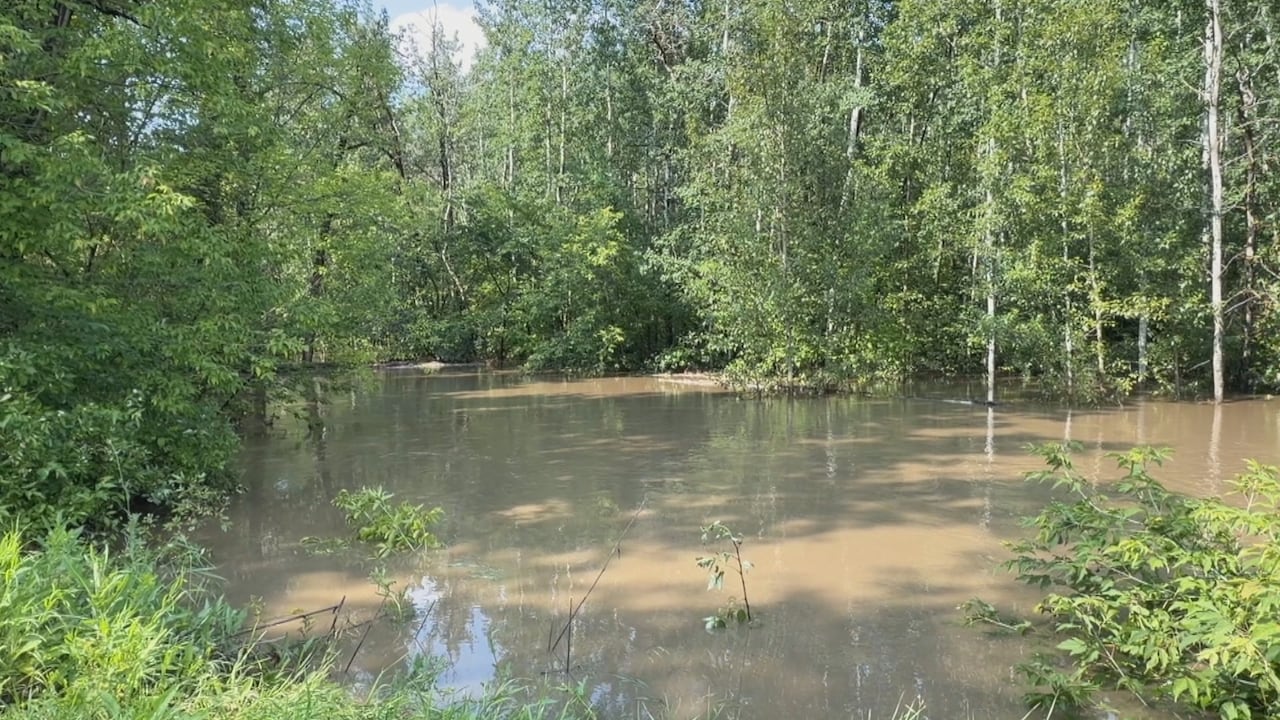 High, brown water has washed out paths and other spots in Mill Creek Ravine.