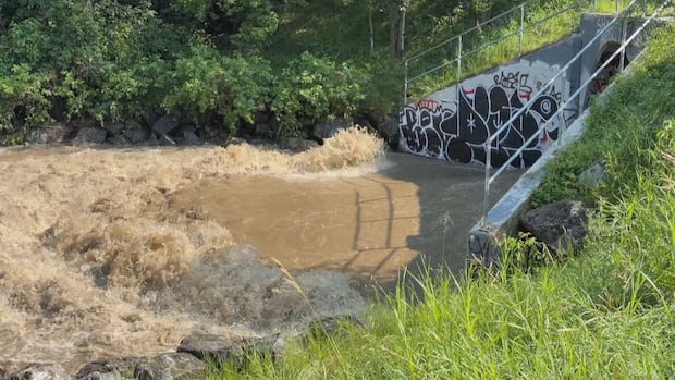 What is urban creek syndrome and why might it be making flooding in Edmonton worse?