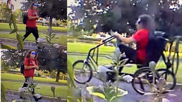 Ottawa police say custom-made bike stolen from elderly man with Parkinson's disease