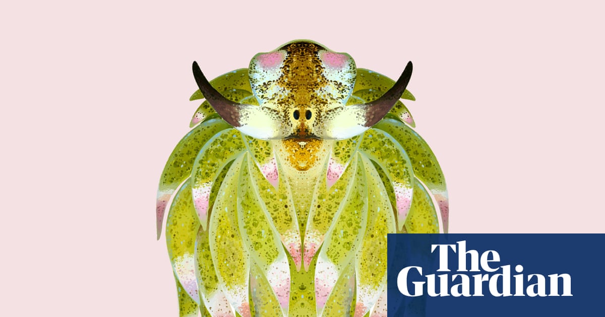 ‘You’d want one as a pet’: the irresistibly cute solar-powered sea slug | Invertebrates
