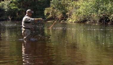 P.E.I. watershed group urges anglers to stay off some rivers during the heat