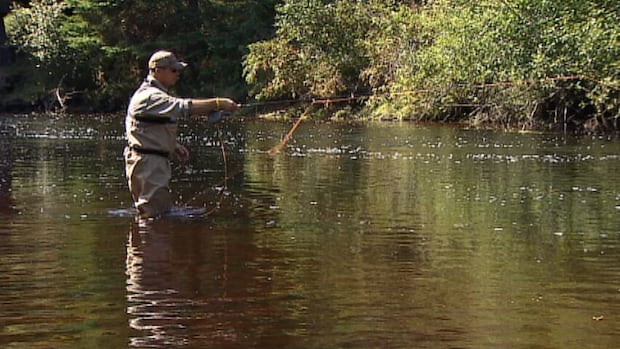 P.E.I. watershed group urges anglers to stay off some rivers during the heat