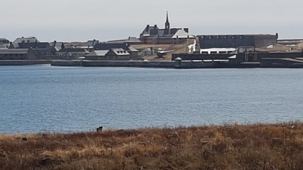 Louisbourg residents under boil-water advisory after major water main break
