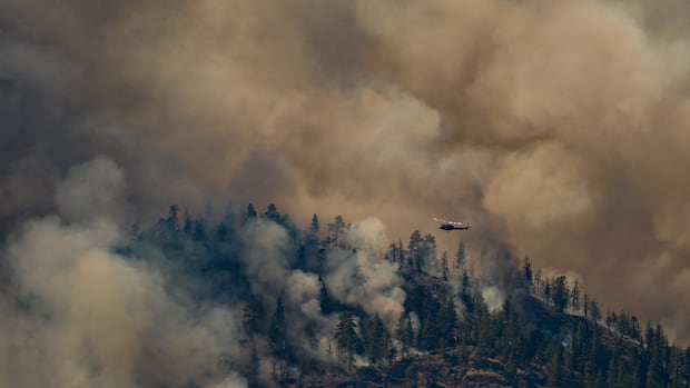 What you need to know about B.C. wildfires on Aug. 5