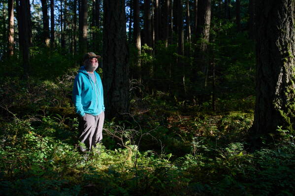 Andy MacKinnon, a forest ecologist, stands beneath the forest canopy near Victoria, British Columbia, Friday, May 29, 2026. (AP Photo/Annika Hammerschlag)