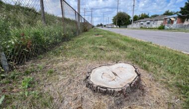 Selkirk Avenue resident misses sound of silence – Winnipeg Free Press