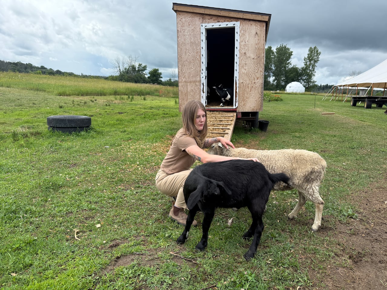 A woman is kneeling down petting a sheep and a black goat