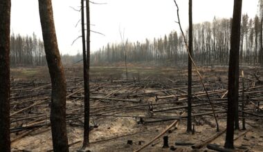 N.W.T. doctor urges action as report shows climate change fuelling fires