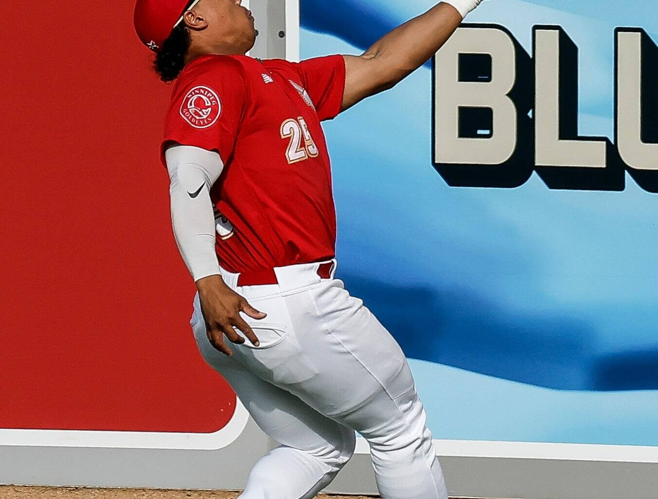 Goldeyes win franchise record 13th consecutive game – Winnipeg Free Press