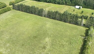 Tornado formed north of Kemptville last weekend, researchers say