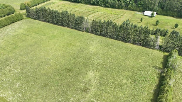 Tornado formed north of Kemptville last weekend, researchers say