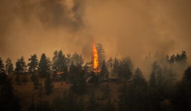 B.C. declares province-wide state of emergency amidst wildfires