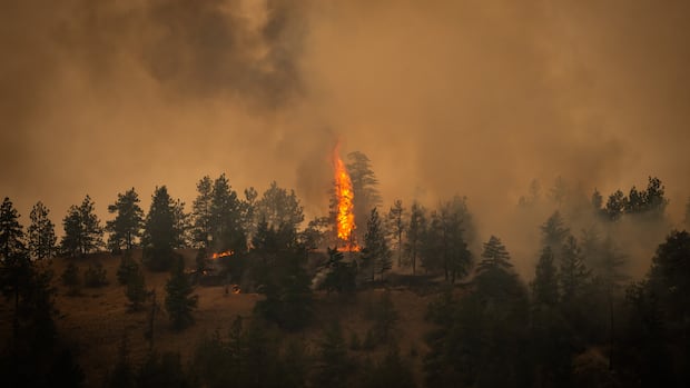 B.C. declares province-wide state of emergency amidst wildfires