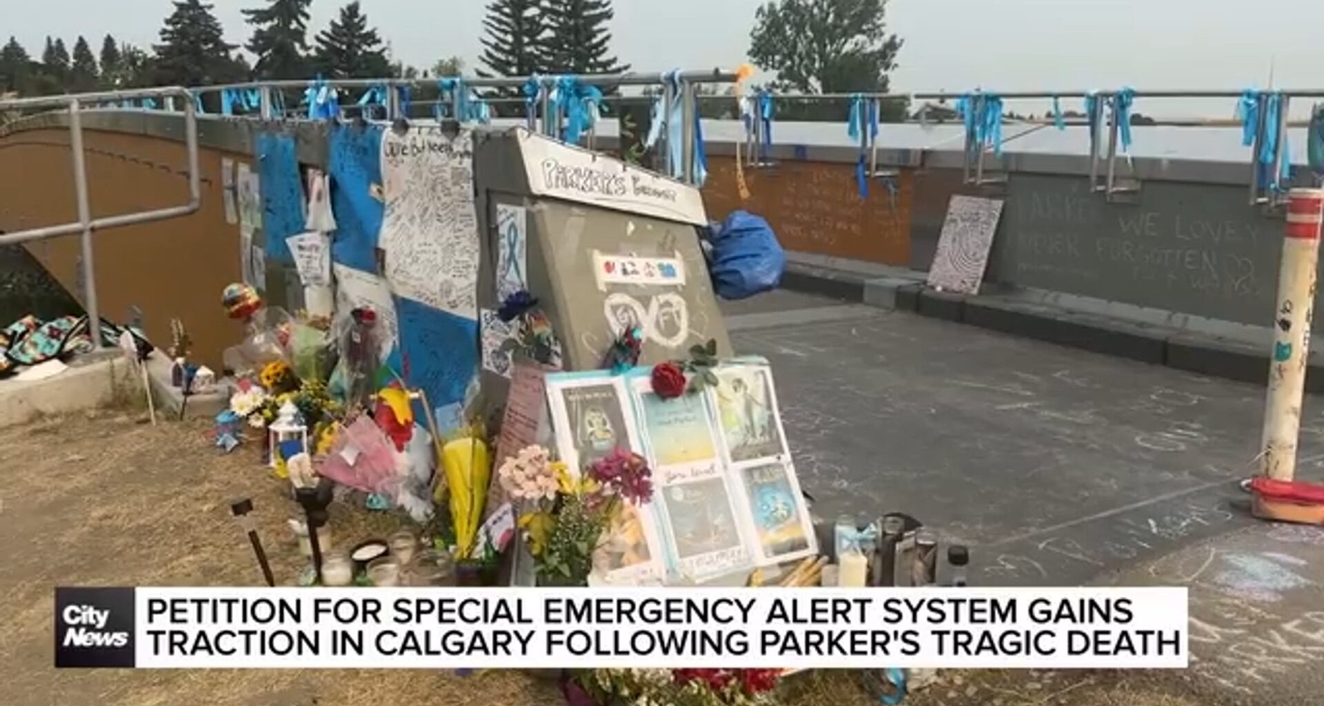 Petition for special emergency alert system gains traction in Calgary following Parker’s tragic death