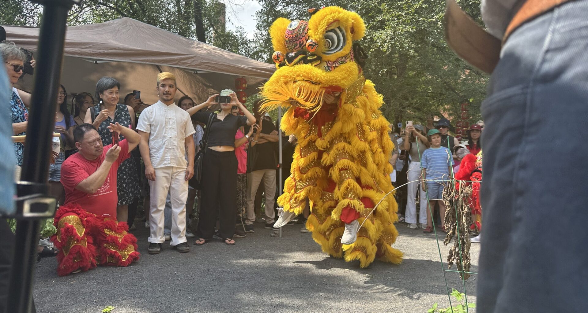 Montreal marks 3rd annual Chinatown Day