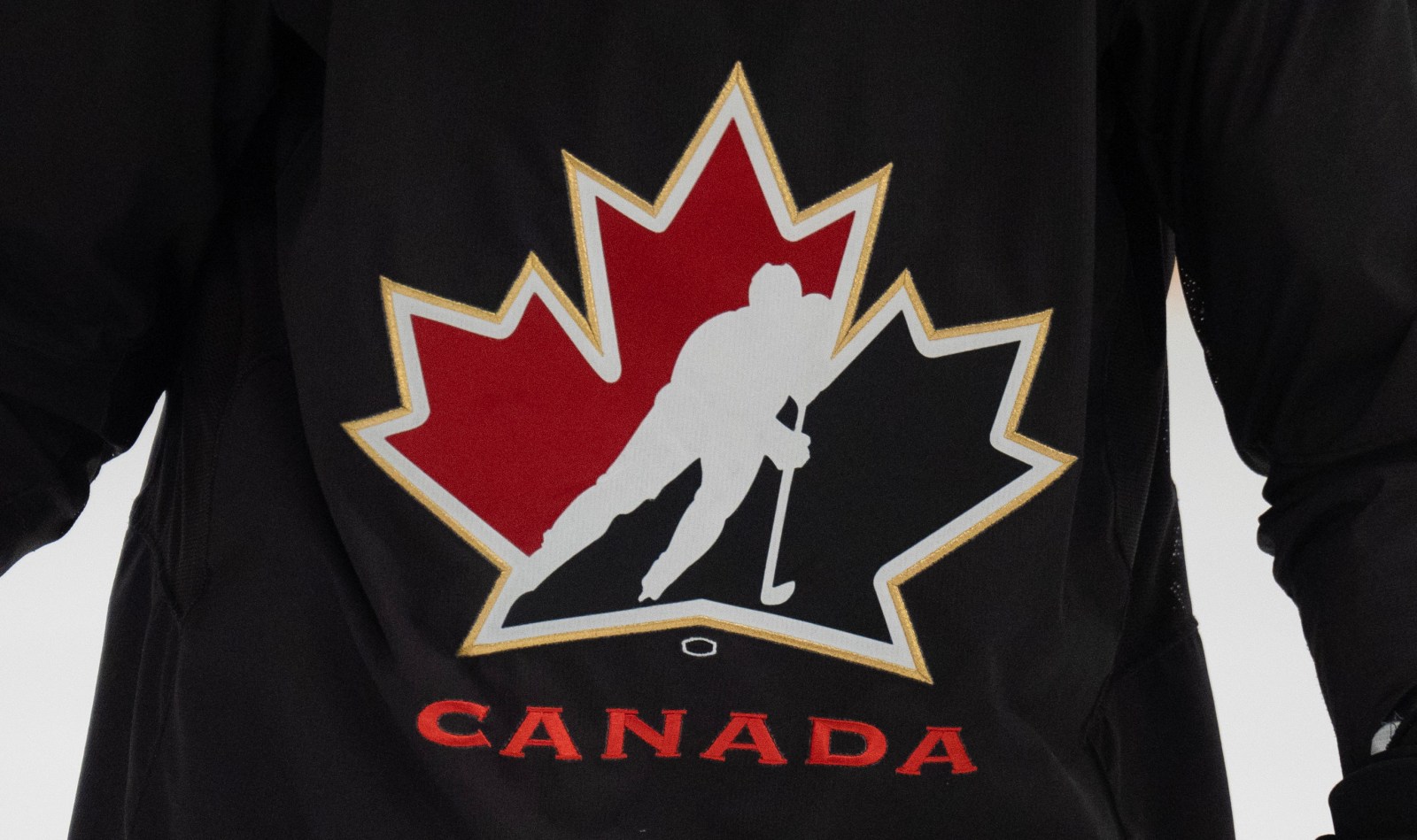 Canada whips U.S. 8-1 to win Hlinka Gretzky Cup – Winnipeg Free Press