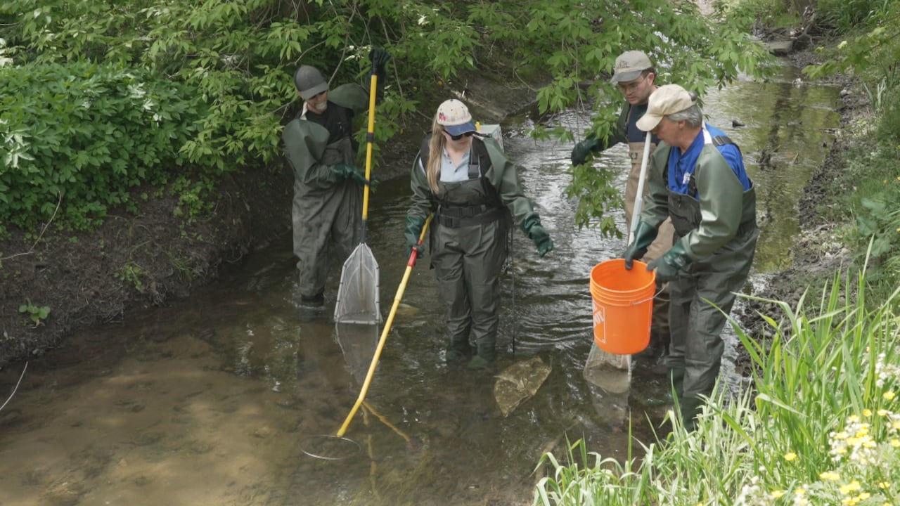 People in a river holding a long stick with a ring and other people alongside with nets and an orange bucket