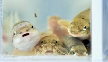 What lives in the rivers near you? Why scientists want you to know