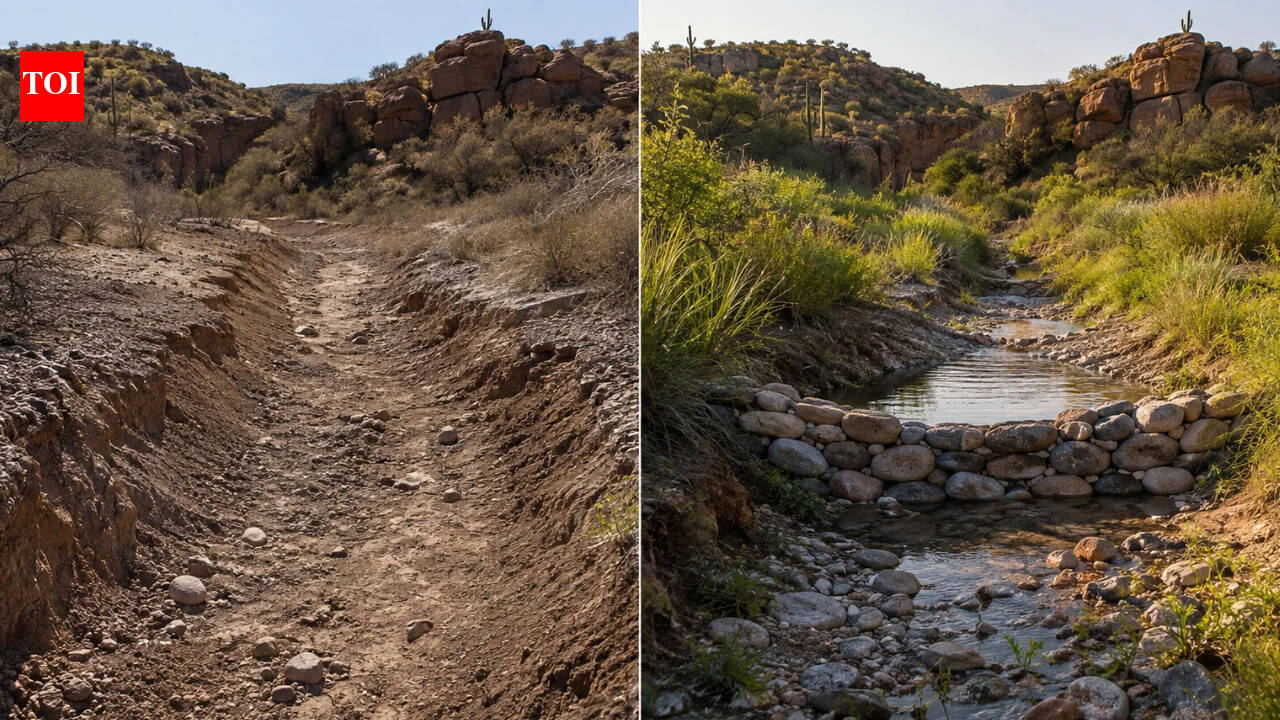 In 1982, an Arizona couple began building what became about 20,000 small rock dams across their desert ranch; one study found stream water increased 28% and flowed four weeks longer | World News