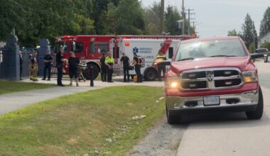 3-year-old girl hospitalized after Maple Ridge, B.C., bear attack