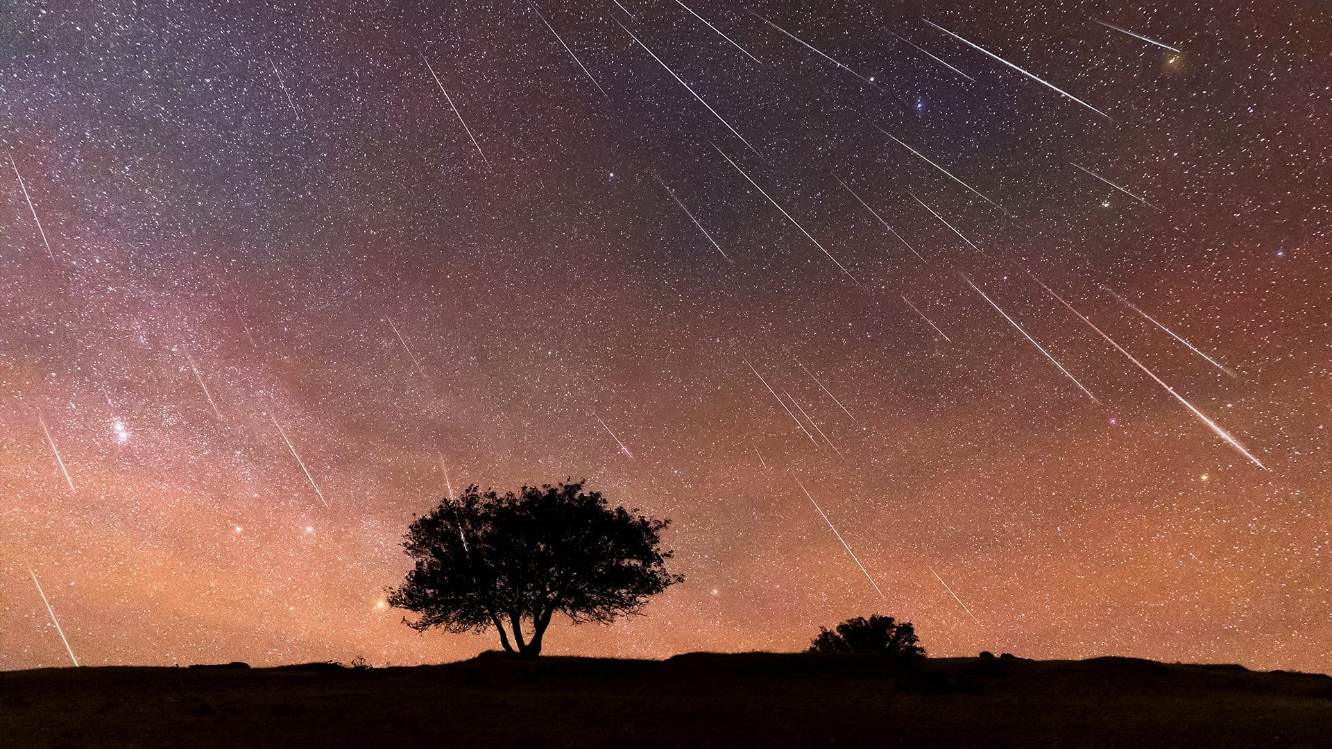 Perseid meteor shower