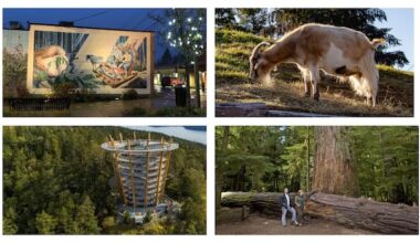 Search for B.C.'s best roadside attraction: Vancouver Island semifinals