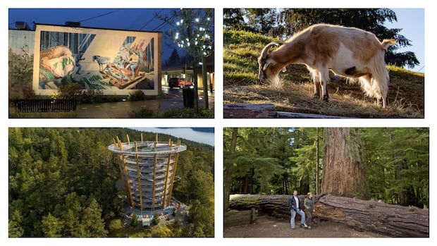 Search for B.C.'s best roadside attraction: Vancouver Island semifinals