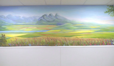 Mural at Edmonton General – CTVNews