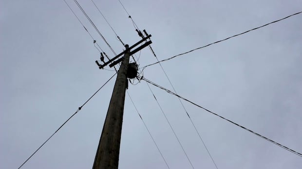 Some Calgarians hit by Rogers service disruption after theft-related fibre cut, provider says