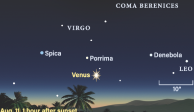 The Sky Today on Tuesday, August 11: Venus, half-lit 